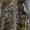 K5IM0392_Resize