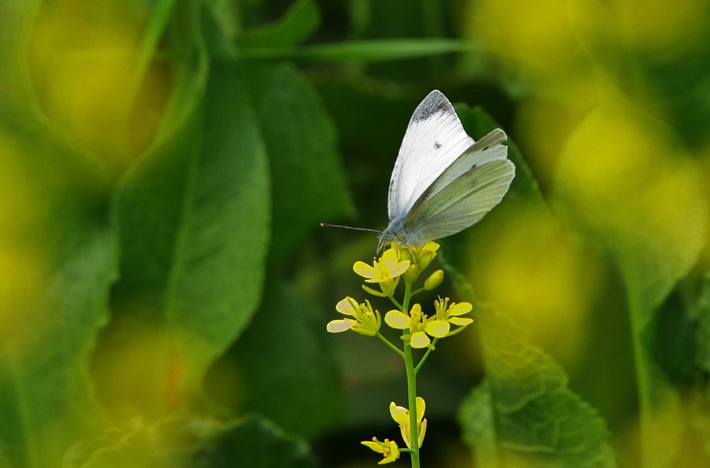 K5IM9280_Resize