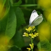 K5IM9280_Resize