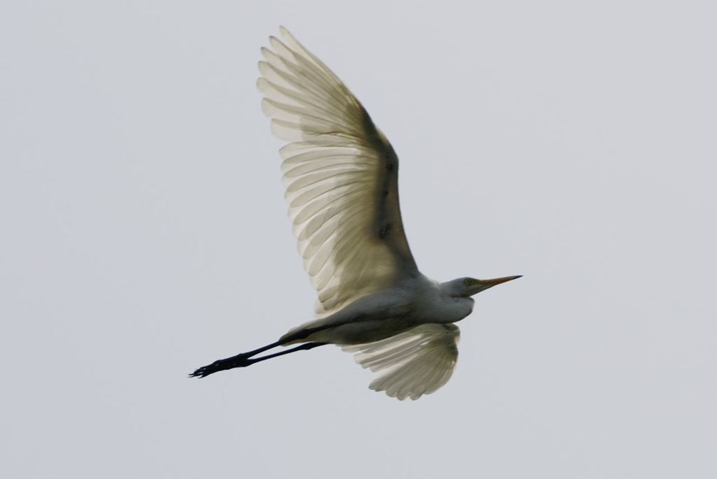 ___IGP9340_Resize