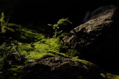 __IGP6037_Resize
