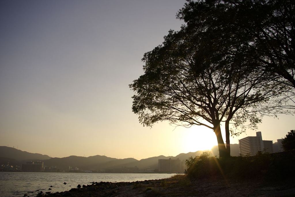 __IGP6156_Resize