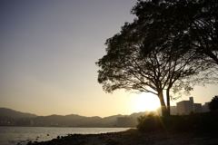 __IGP6156_Resize