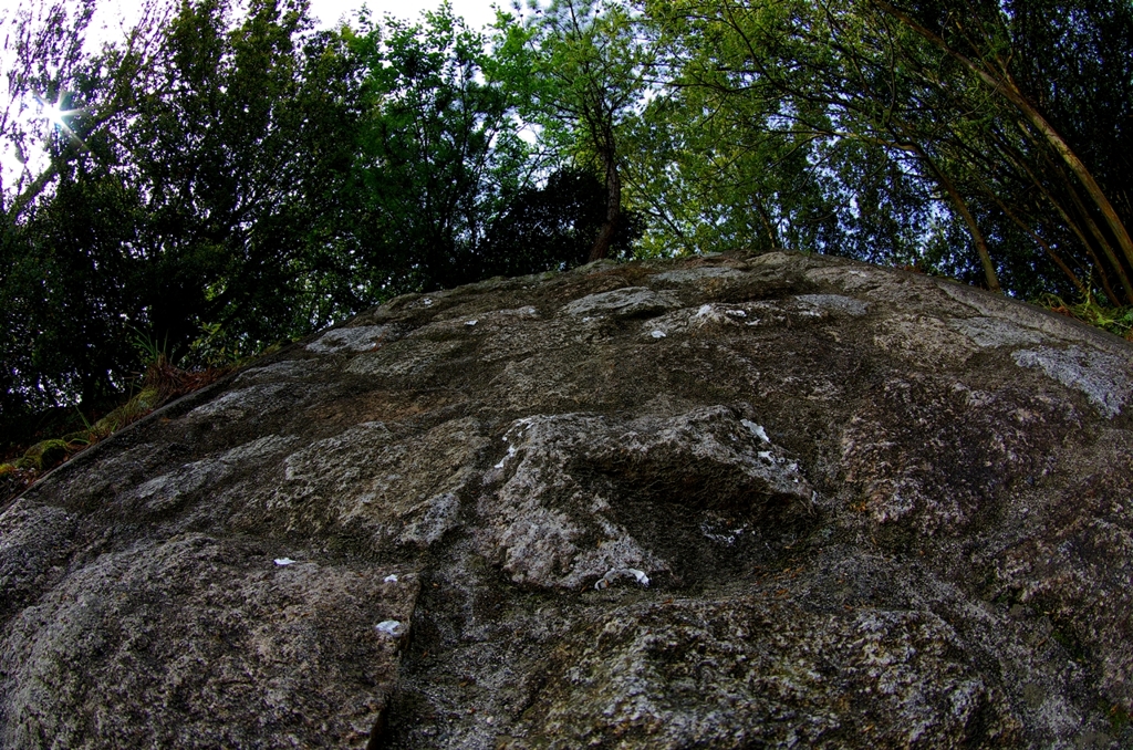 K5IM9730_Resize