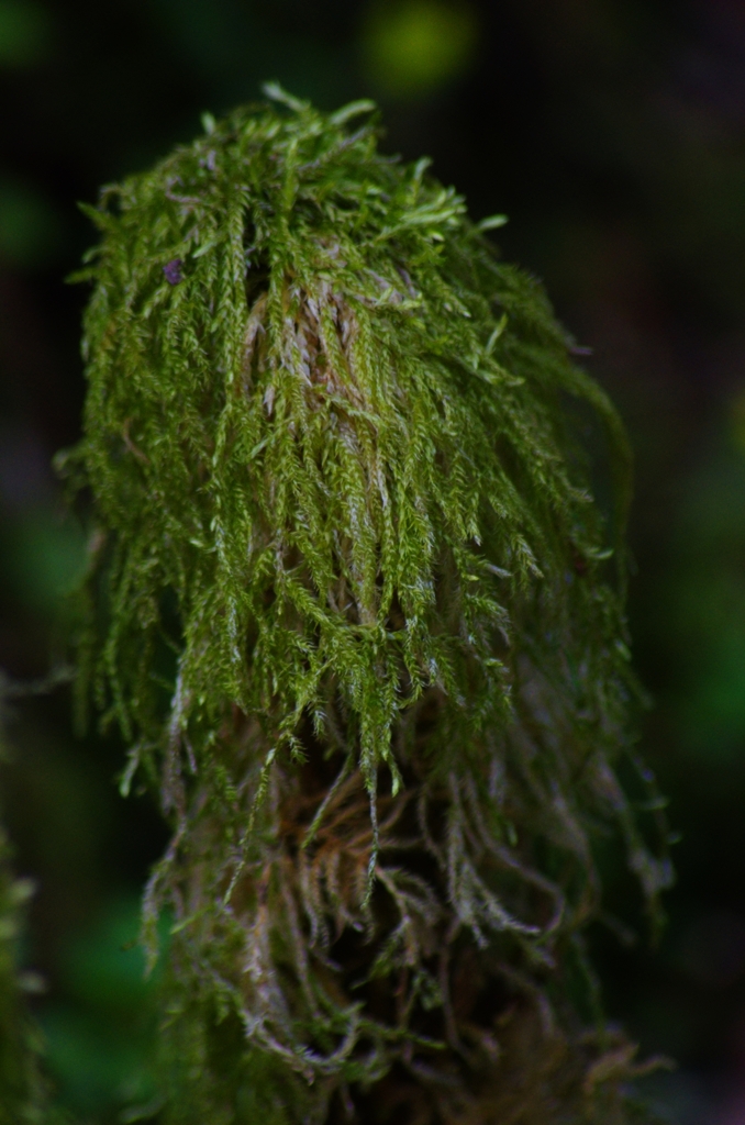 K5IM0205_Resize