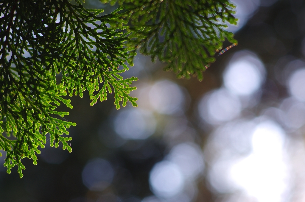 K5IM3516_Resize