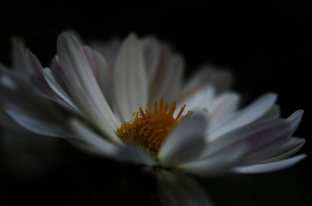 K5IM9274_R