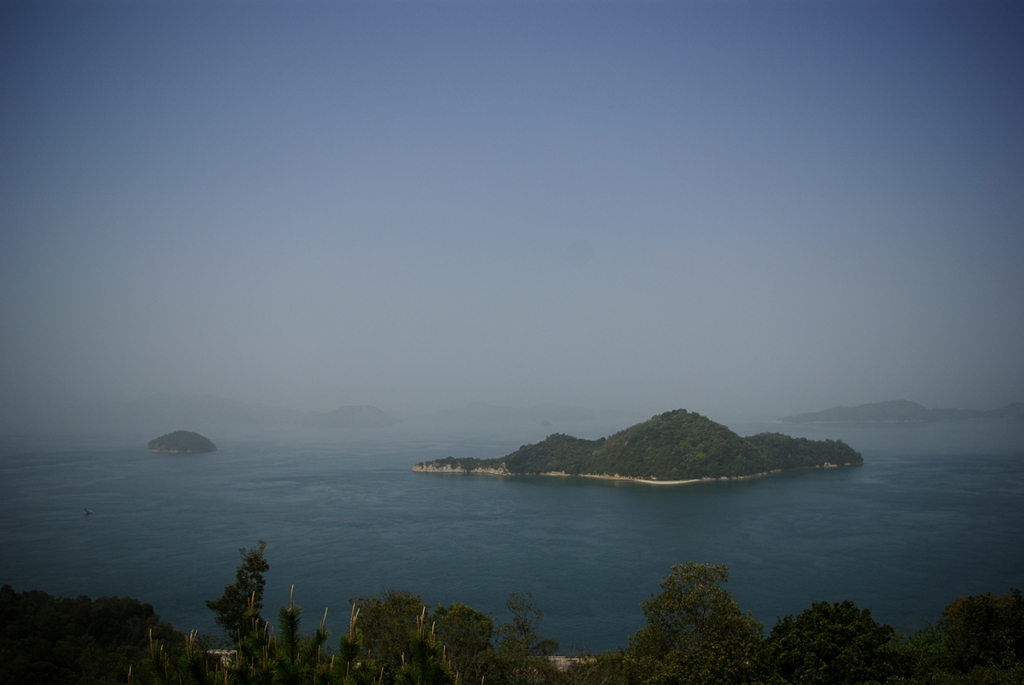 IMGP8312_Resize