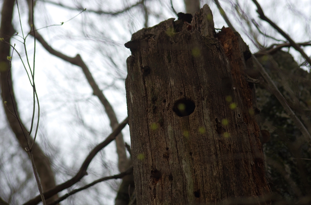 K5IM0426_Resize