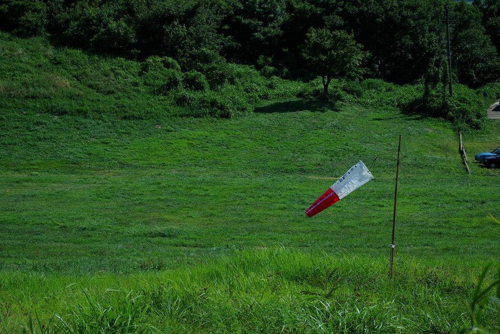IMGP3343_Resize