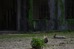 K5IM0037_Resize