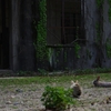 K5IM0037_Resize