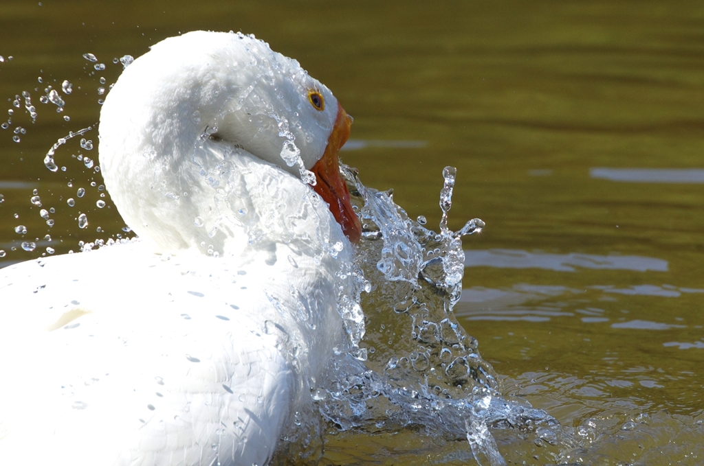 K5IM9690_Resize