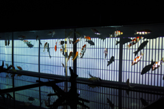 アートアクアリウム展　2014　大阪　その１