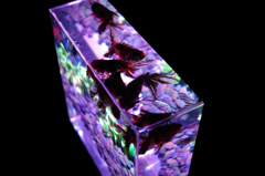 アートアクアリウム展　2014　大阪　その１１