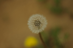 2011ＧＷ岡山にて④