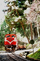 台湾の"阿里山列車"