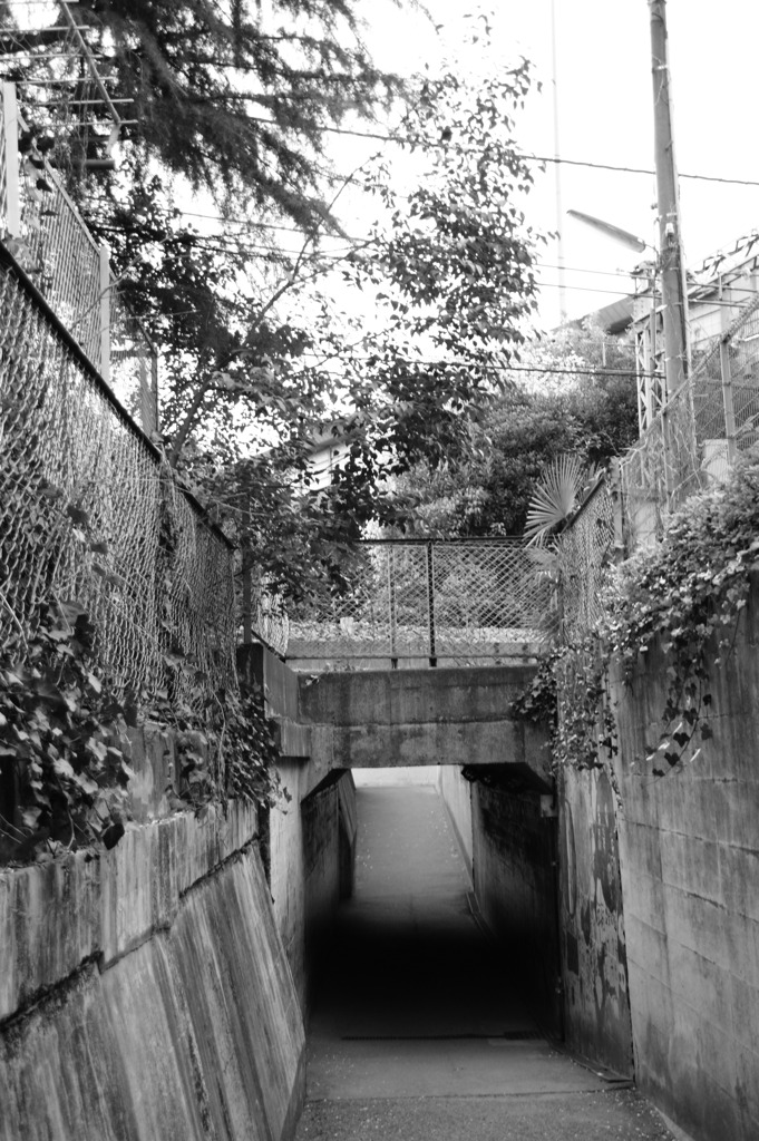 DSC08741