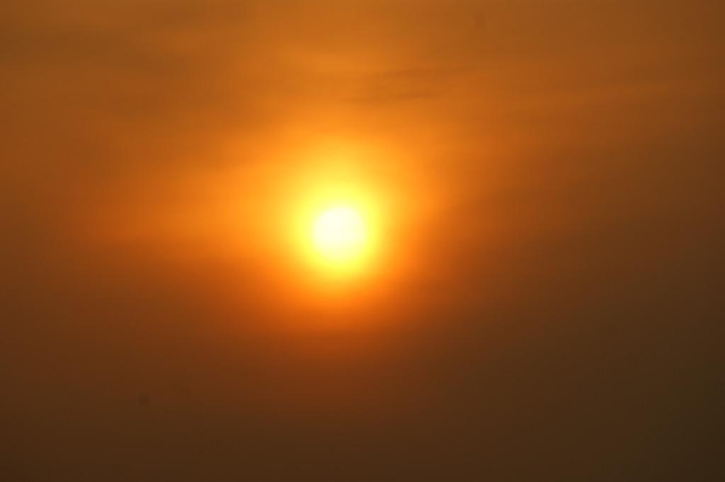 DSC08778