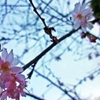 DSC00172