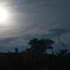 MoonLight Alone