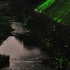 蛍～Luciola cruciata～