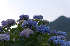 黄昏