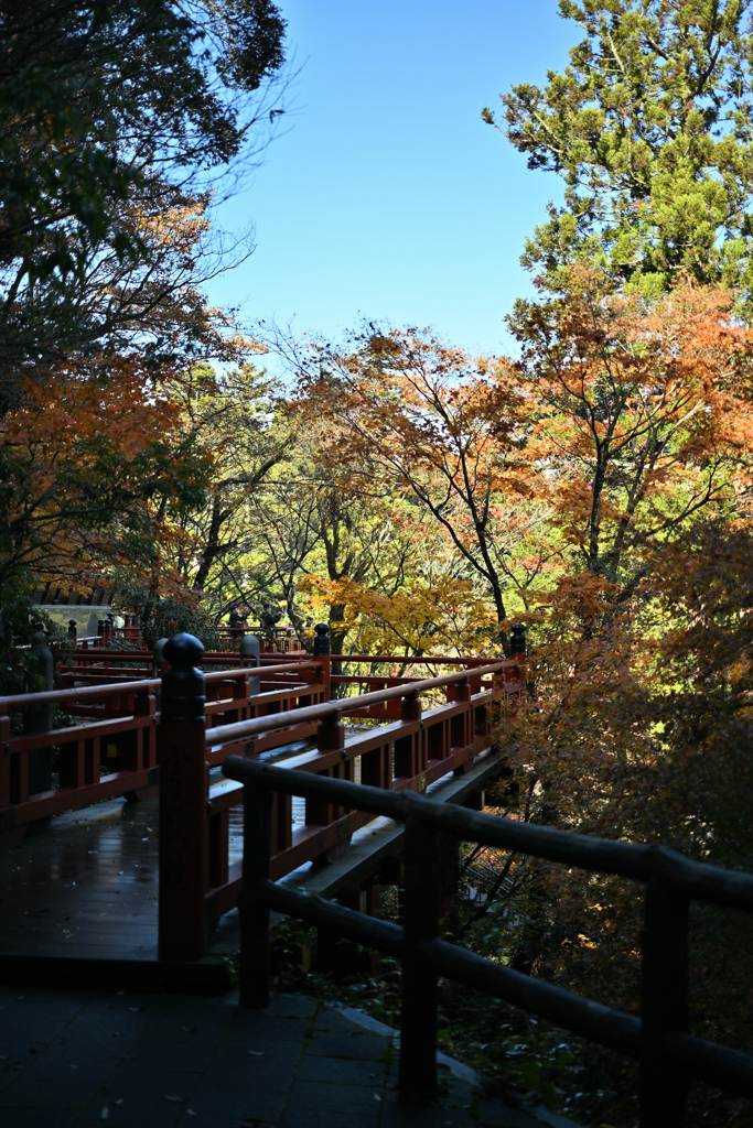 那谷寺　楓月橋