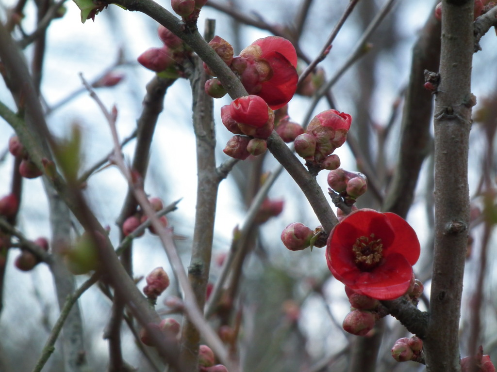 DSCF0979