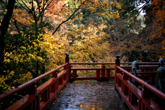 楓月橋の紅葉