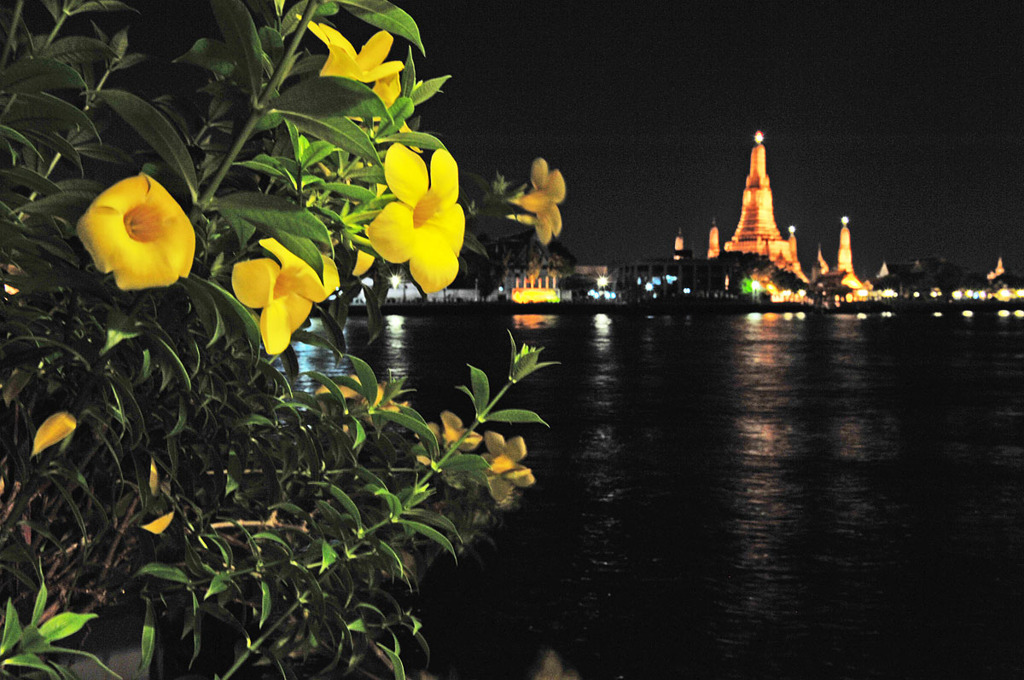 Wat Arun at Night, Bangkok