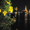 Wat Arun at Night, Bangkok