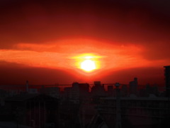 日没