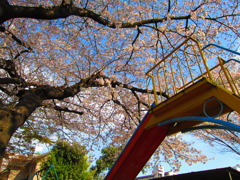 小さな公園