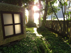 白の光