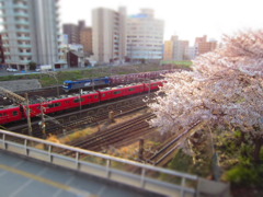 桜線路