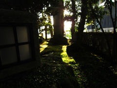 緑の光