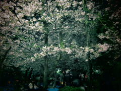 宴会の華