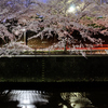 川辺の夜桜