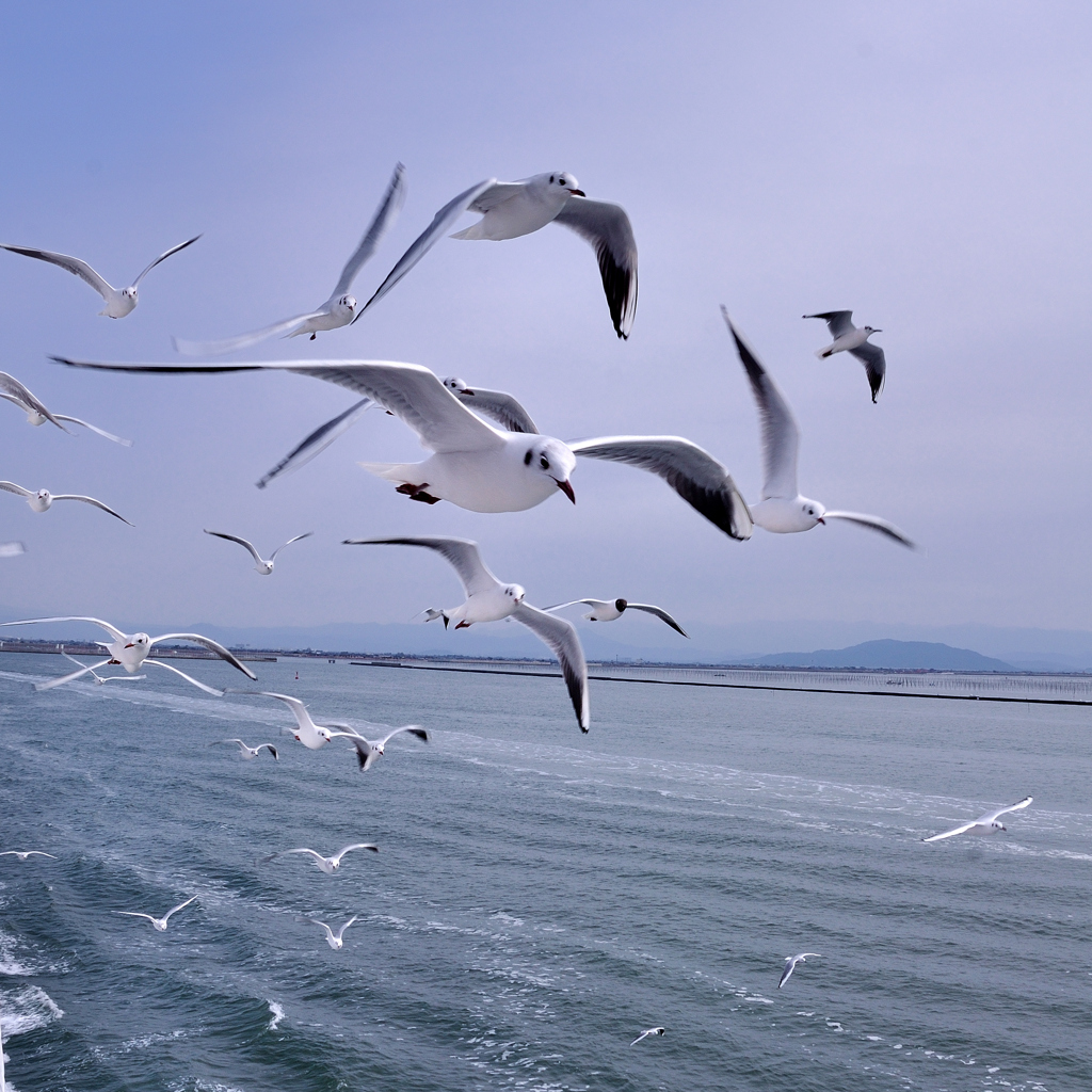 どこまでも一緒