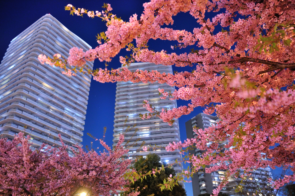 未来風景（１）