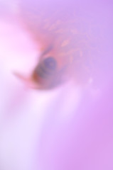 夢の中～「どこにもいかないで・・・」