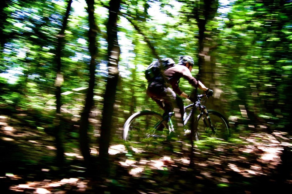青梅の山でMTB