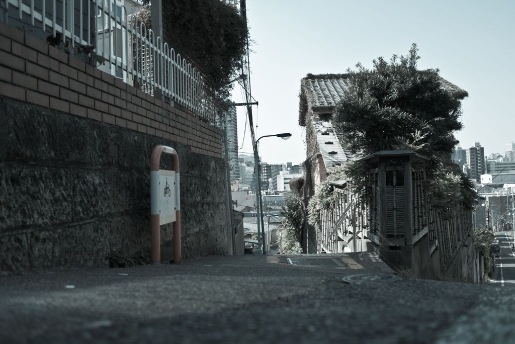 出勤途中の一コマ