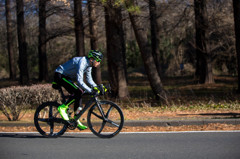 秋ヶ瀬公園の朝サイクリング