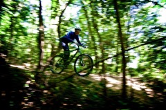 青梅の山でMTB