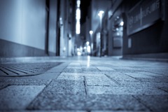 L1000209