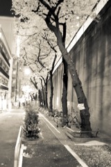 L1000219
