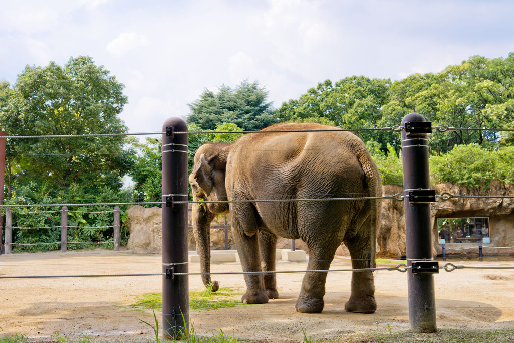 上野動物園