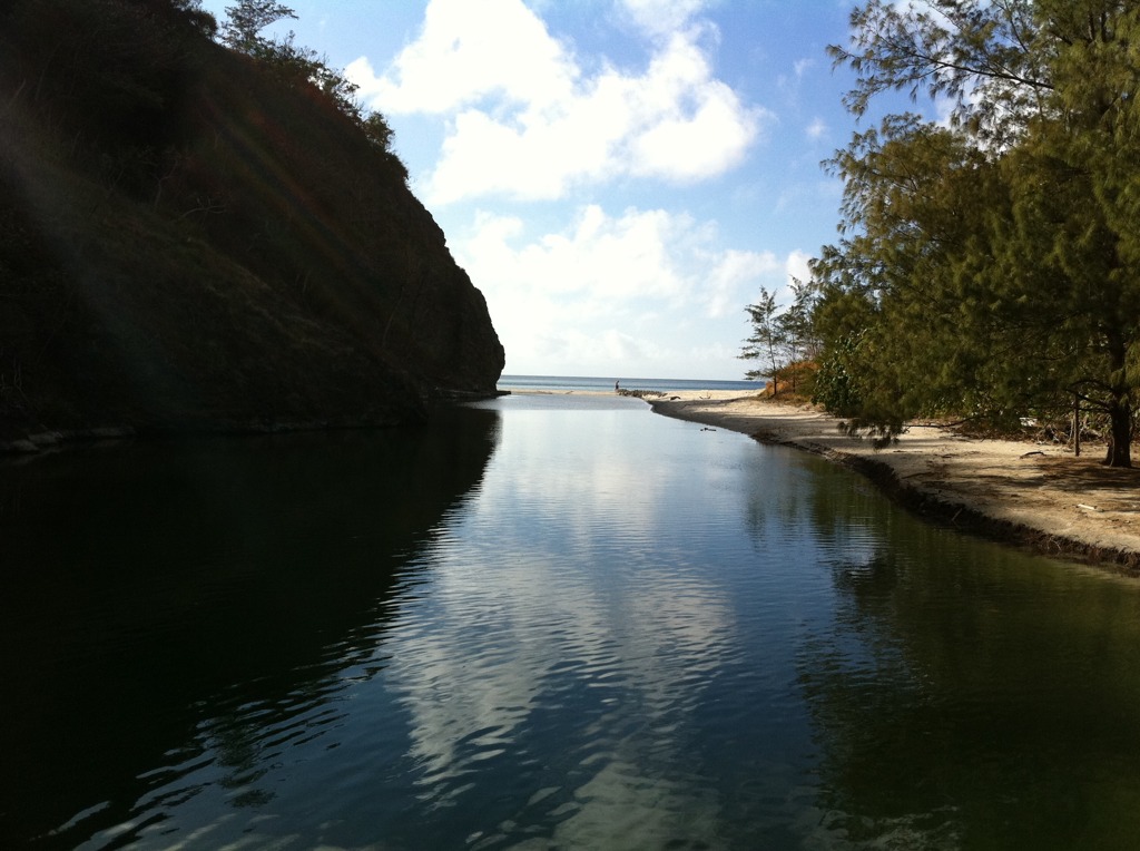 父島 小港海岸